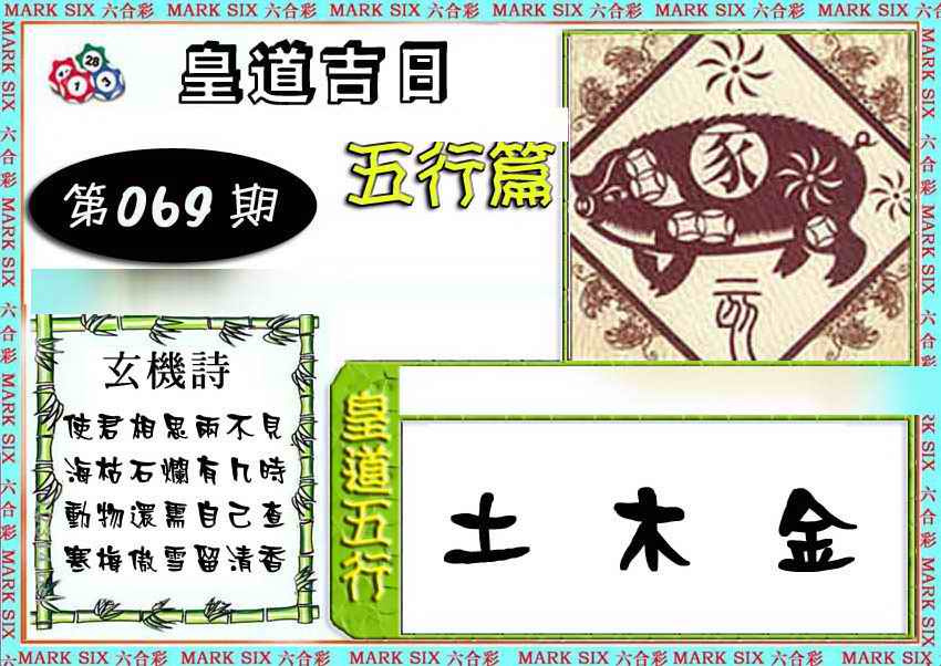 单双各四肖
